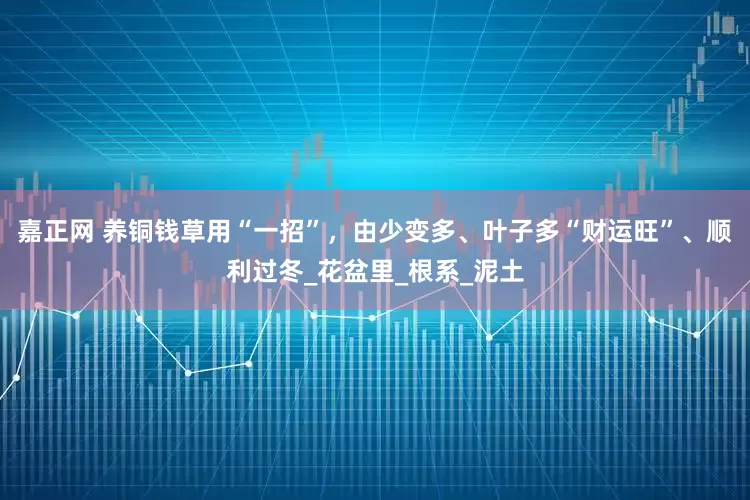 嘉正网 养铜钱草用“一招”，由少变多、叶子多“财运旺”、顺利过冬_花盆里_根系_泥土